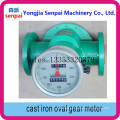 Ogm-I-50/80/100 Cast Iron Oval Gear Meter
